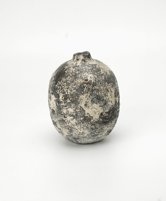 SUKU /  tama   [ 1 ]