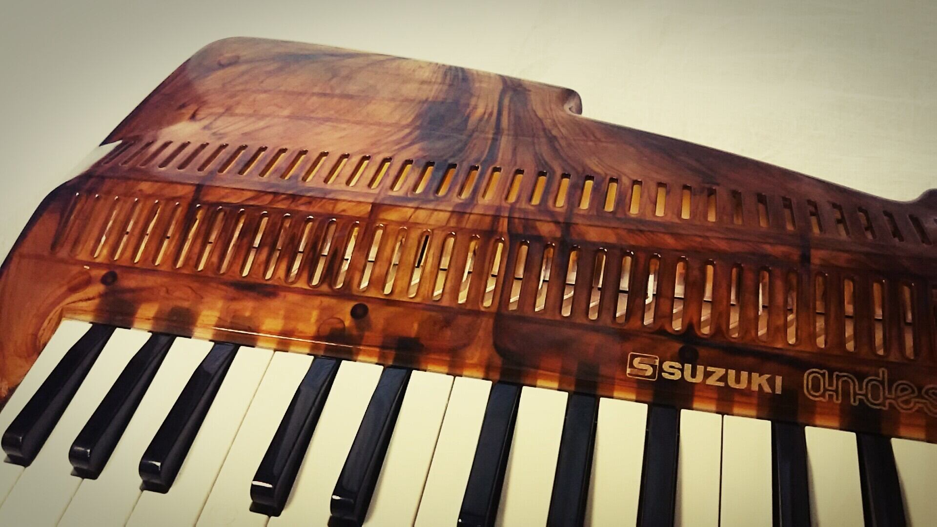 スズキ アンデス 25F べっ甲柄 みゆき1211さん専用 べっ甲柄 アンデス25F andes ケース付き 楽天市場