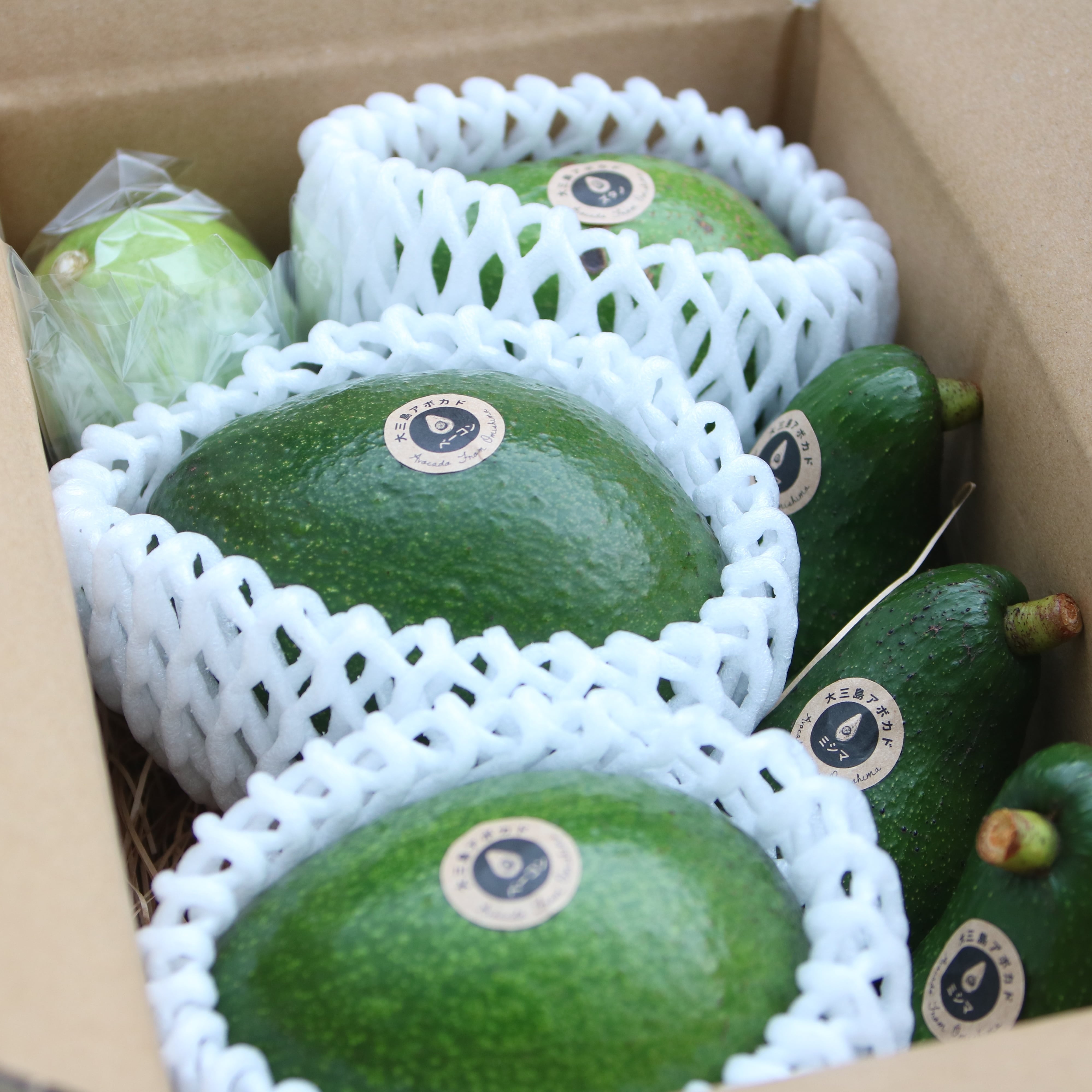 アボカド func_mv_img.jpg