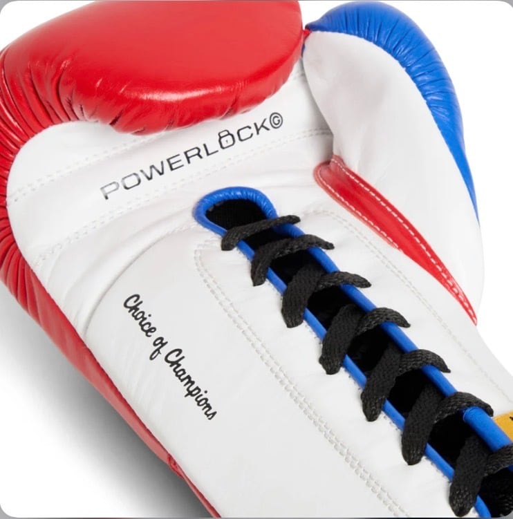 Everlast パワーロックOGプロトレーニンググローブ POWERLOCK OG PRO