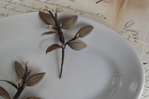 ドライユーカリ ブローチ