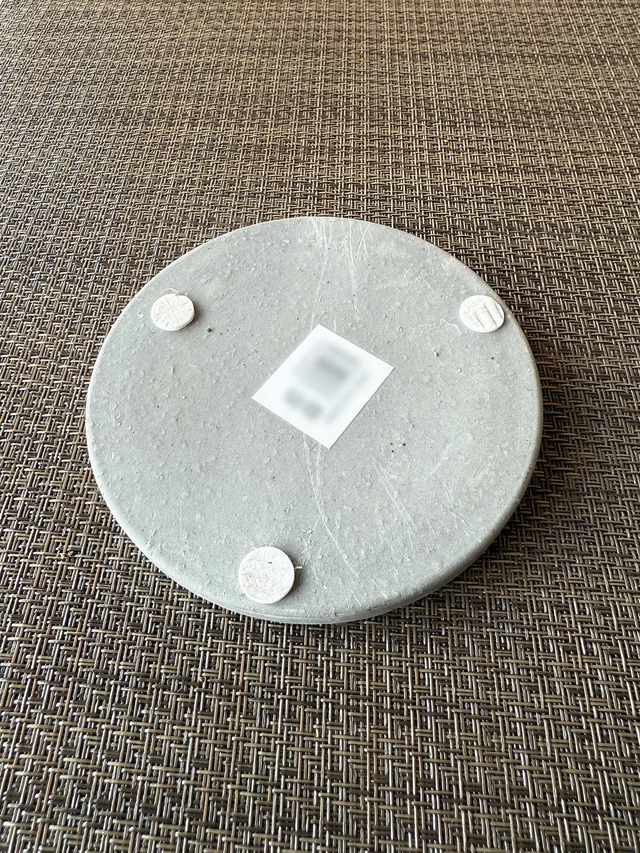 フィットニア(苔玉）