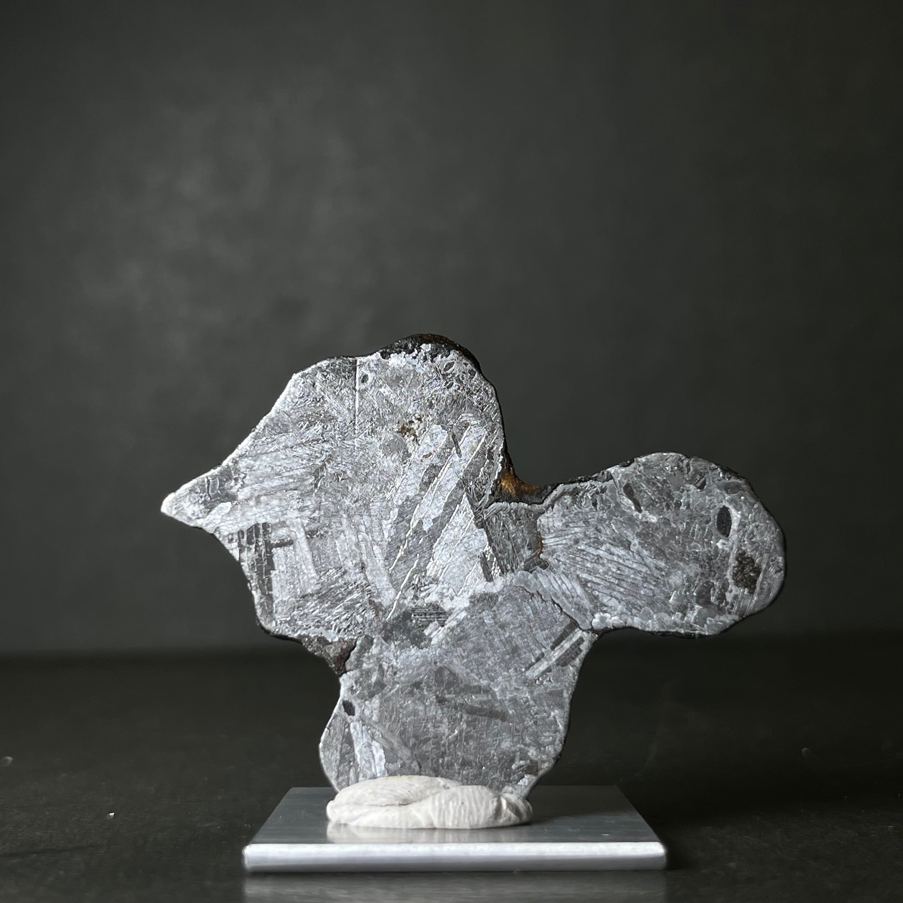 絵画】マンドラビラ隕石 Mundrabilla Meteorite 26093002 | 【隕石屋