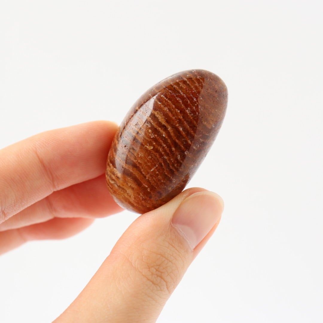 トロレアイトのサメ | 木霊石 KODAMA-ishi