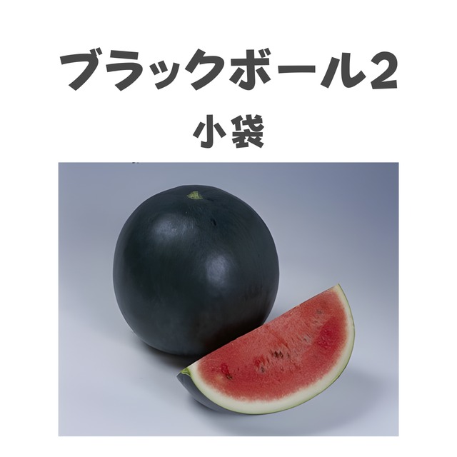 ブラックボール2　スイカ種子・小袋