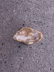 Noi×Bababa／ceramic object