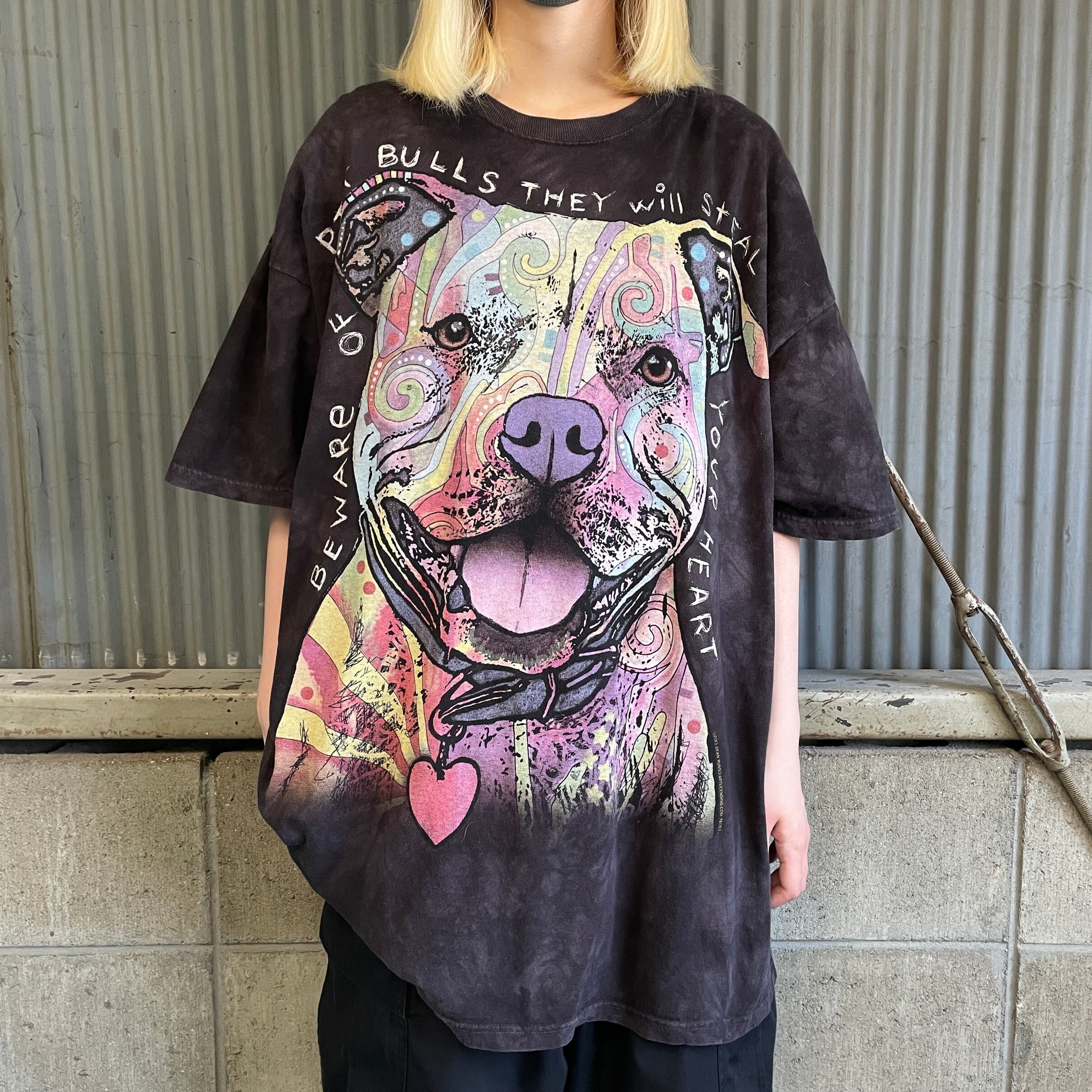 THE MOUNTAIN 犬 アニマル アート プリントTシャツ メンズ2XL相当 古着 