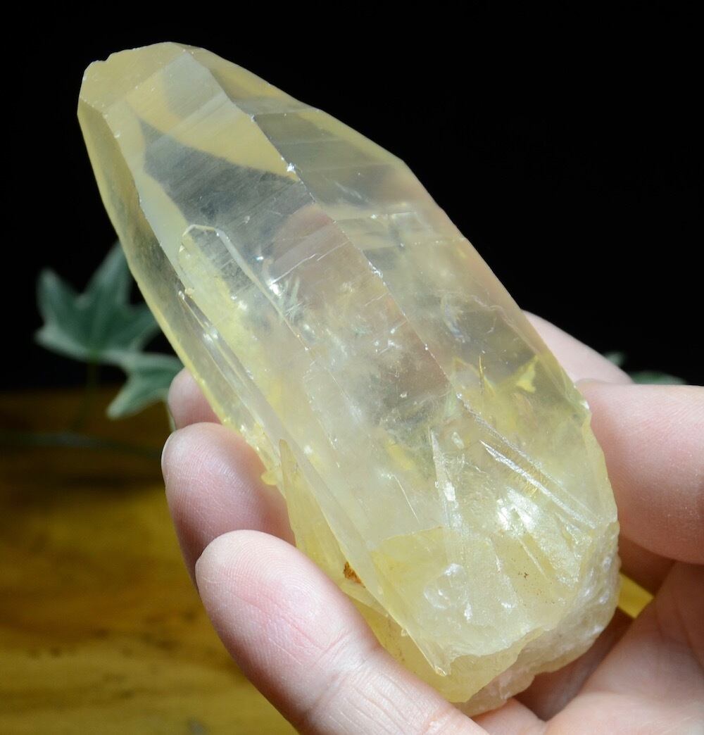 クリムゾン＆ゴールデンレムリアンシードクリスタル～新しい現実～ gld