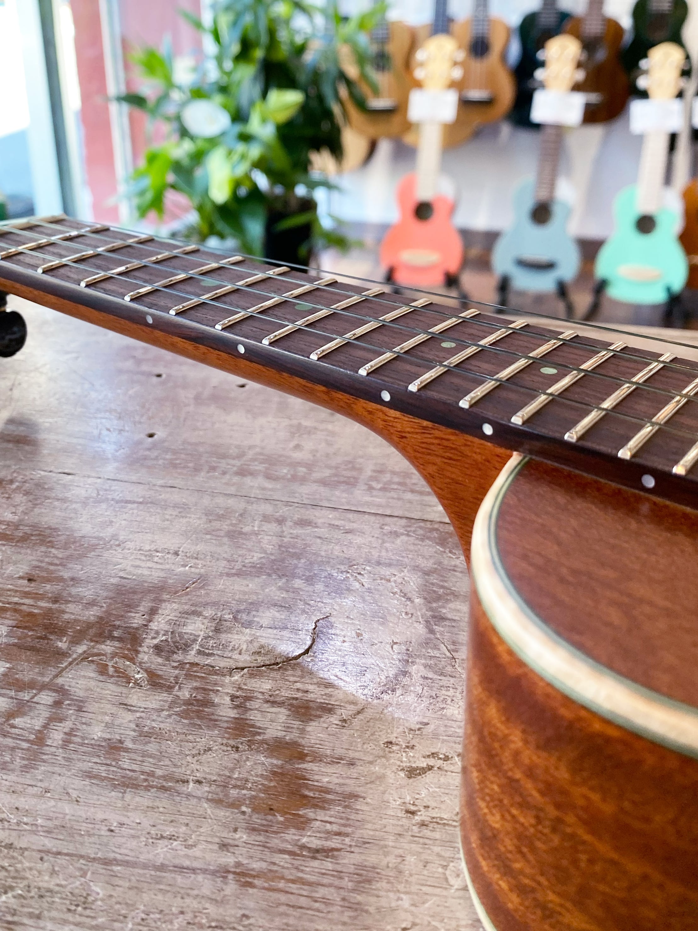 アヌエヌエ商品です aNuenue アヌエヌエ ソプラノ aNN-US110 Green Bird サウスアメリカン