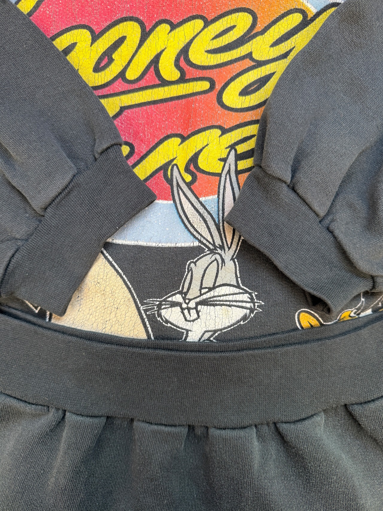 1993 Looney Tunes / made in pakistan・画像10