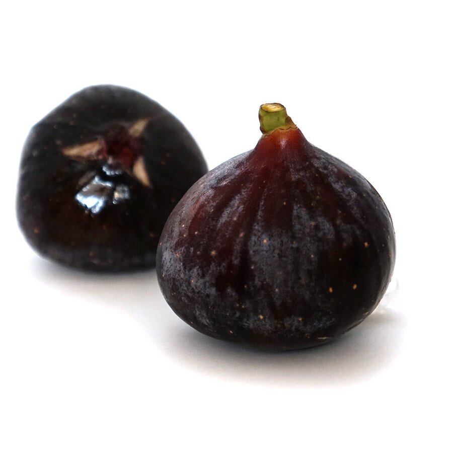 ⭐︎あなたのご自宅へお届けします⭐︎いちじく 5年生株 4年生株