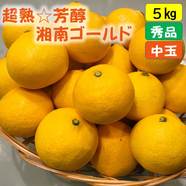 送料無料　超熟☆芳醇・湘南ゴールド（L・２Lサイズ）５ｋｇ