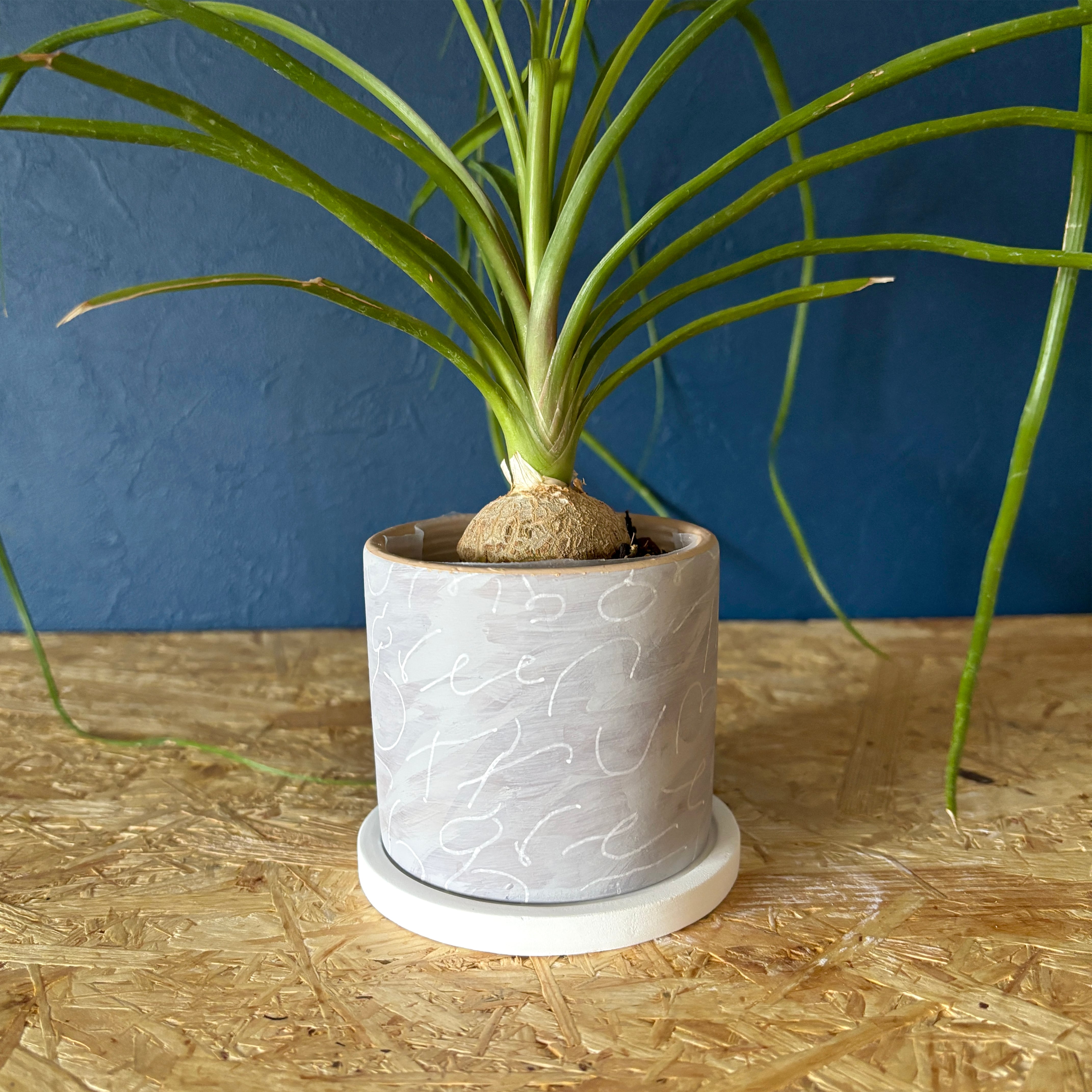 Painting Pot L-28 (植木鉢) | greenis shop