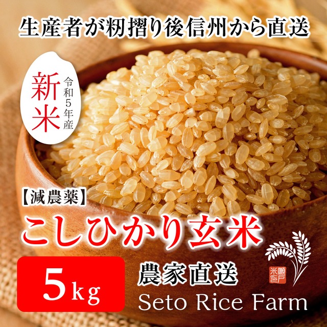 コピー：［減農薬］こしひかり　5kg　　日本を代表するブランド米　甘味と強い粘りが特徴で冷めても美味しいと人気が高い