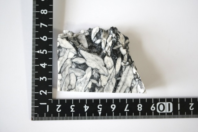 ピノライト Pinolite 1343