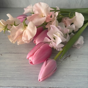 【新春のお祝いに　即出荷】　チューリップ＆スイートピー　ピンクミニ花束