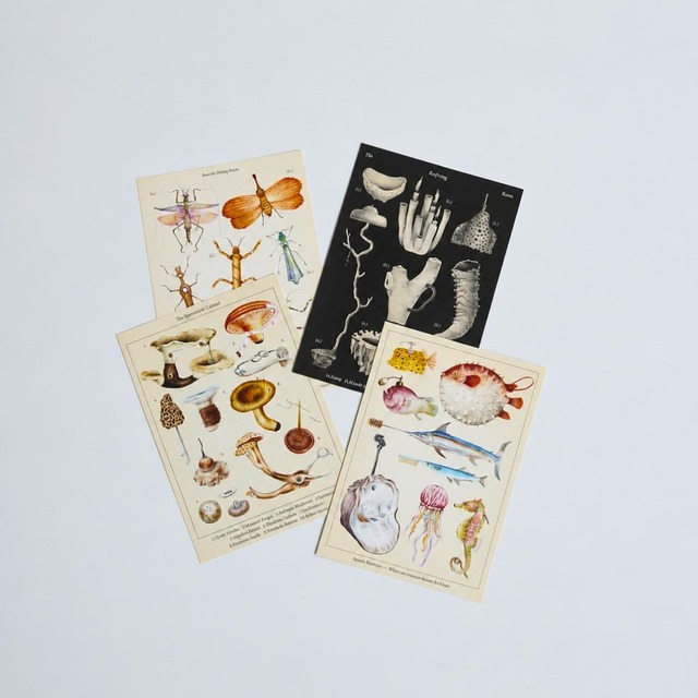 TapTabs ZINE mini ART PRINT set of 4