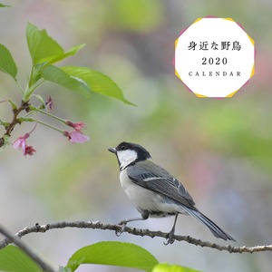 身近な野鳥 2020 CALENDAR