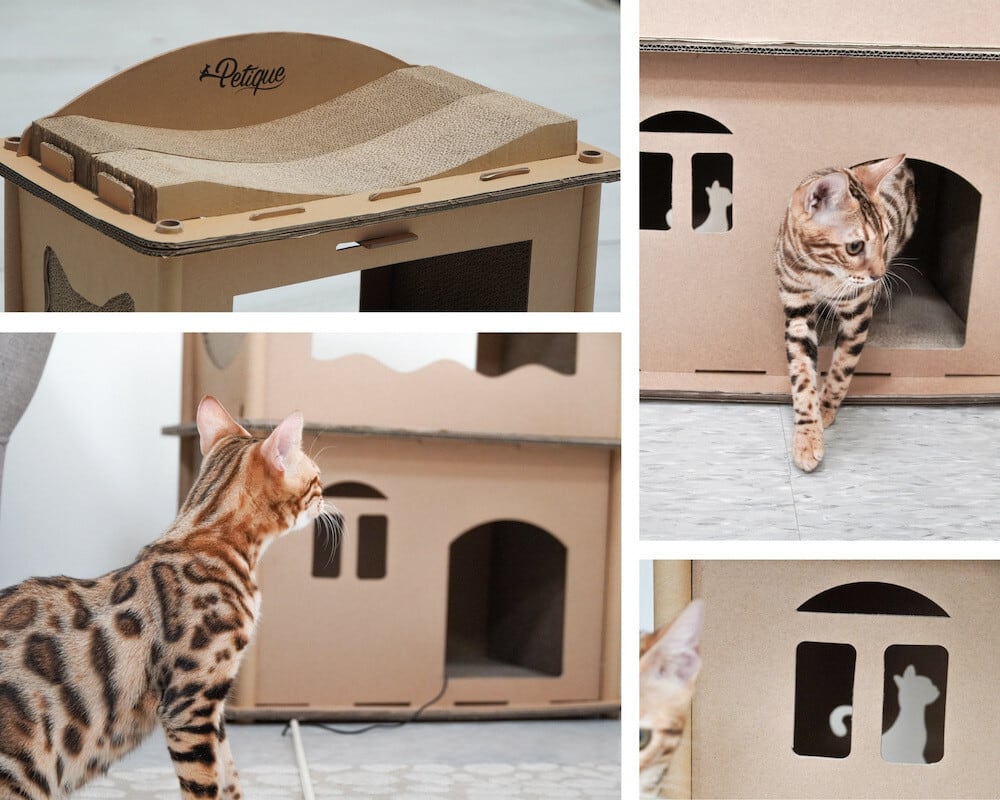 Petique ペティーク コンドミニアム キャットハウス キャットタワー 爪