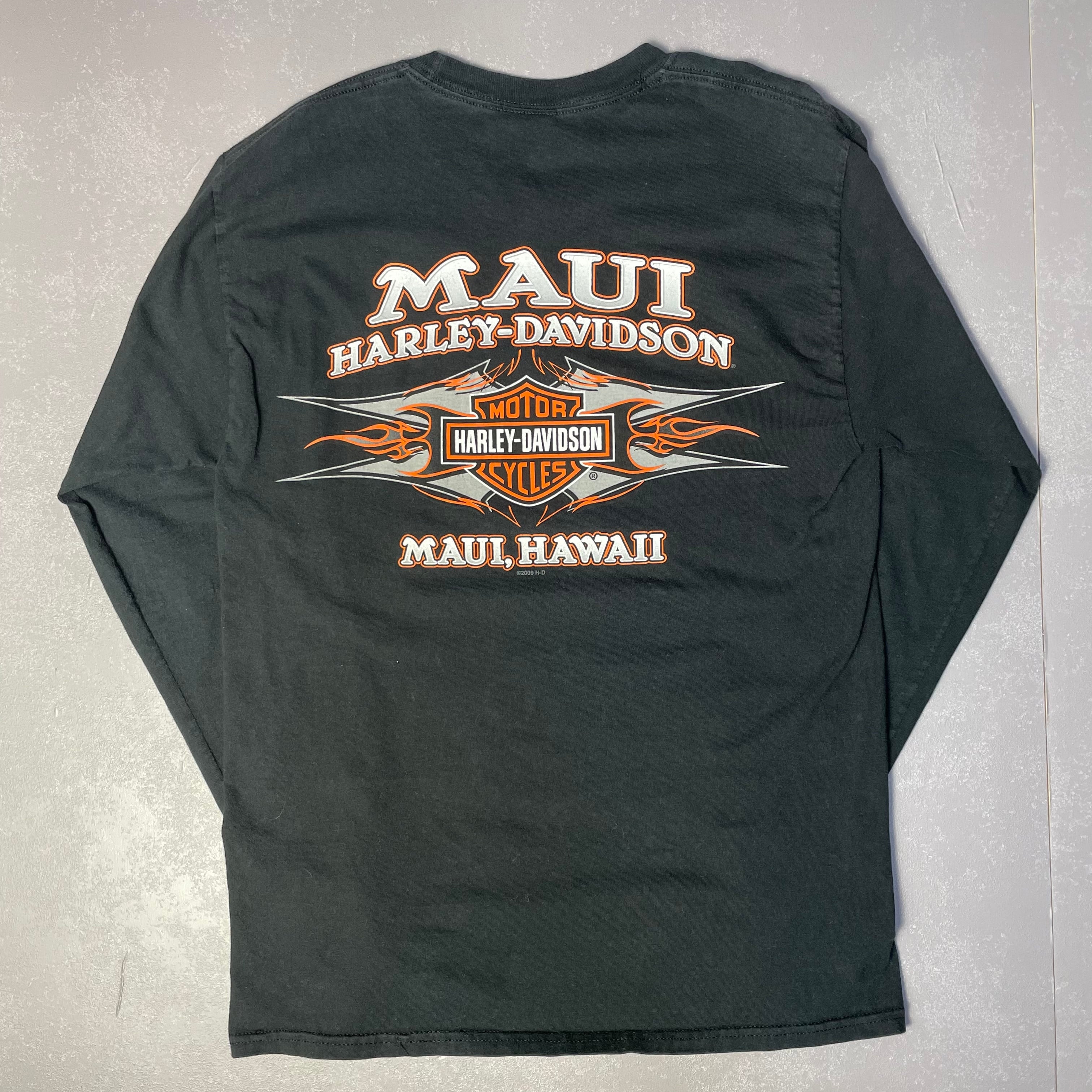 ハーレーダビッドソン 袖ロゴバックプリントロンT