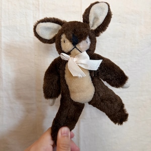 マイペースなうさぎ