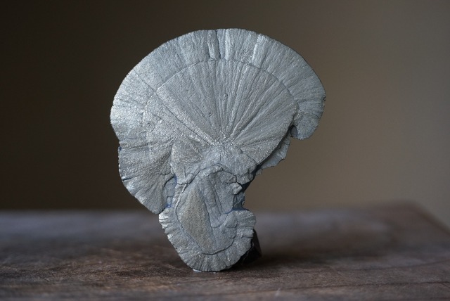 パイライトサン Pyrite Sun 621