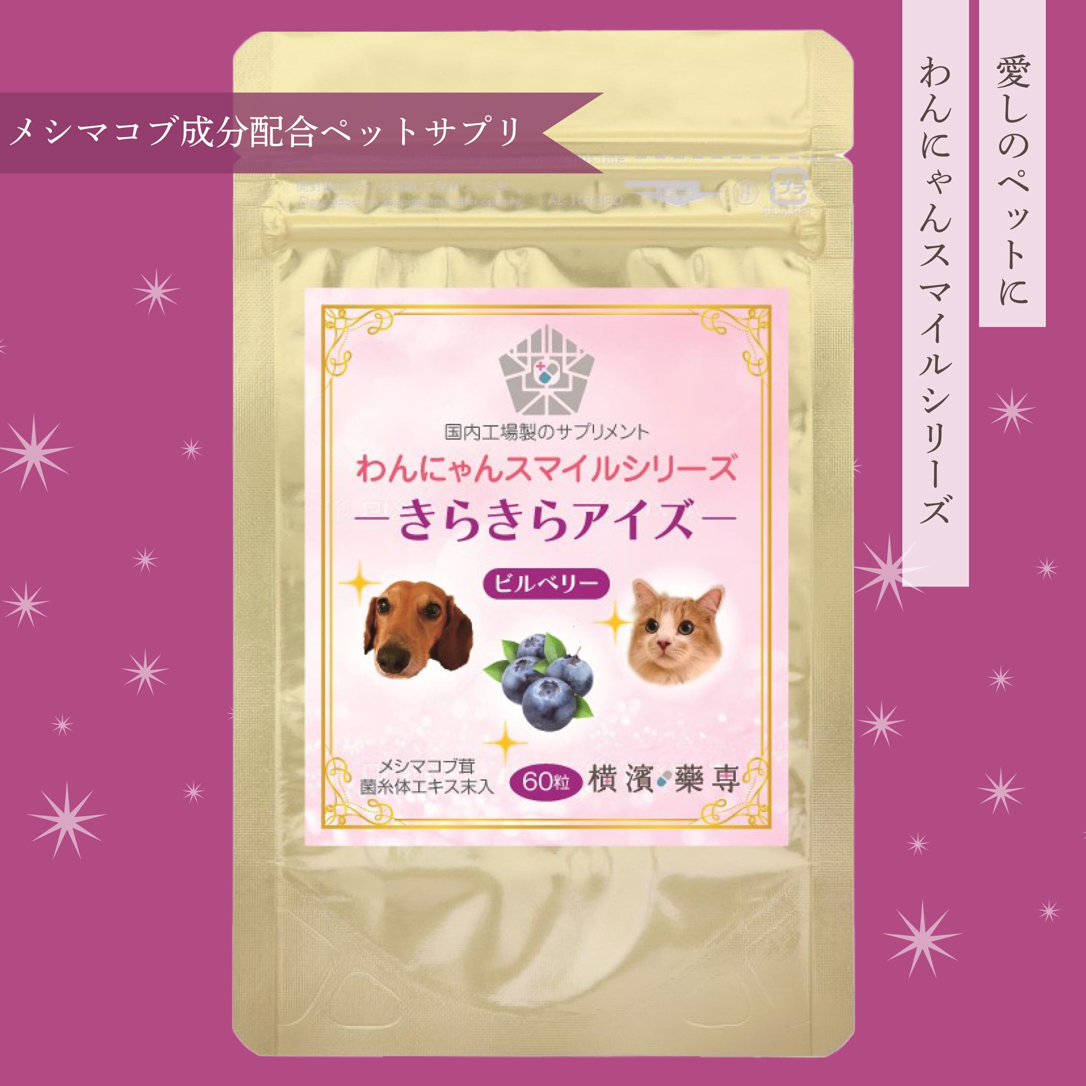 定期便】わんにゃんスマイルシリーズ きらきらアイズ（ビルベリー