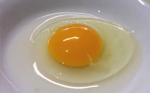 平飼い有精卵「王様の卵」ハラル認証取得のヨード入【毎月サポーター】