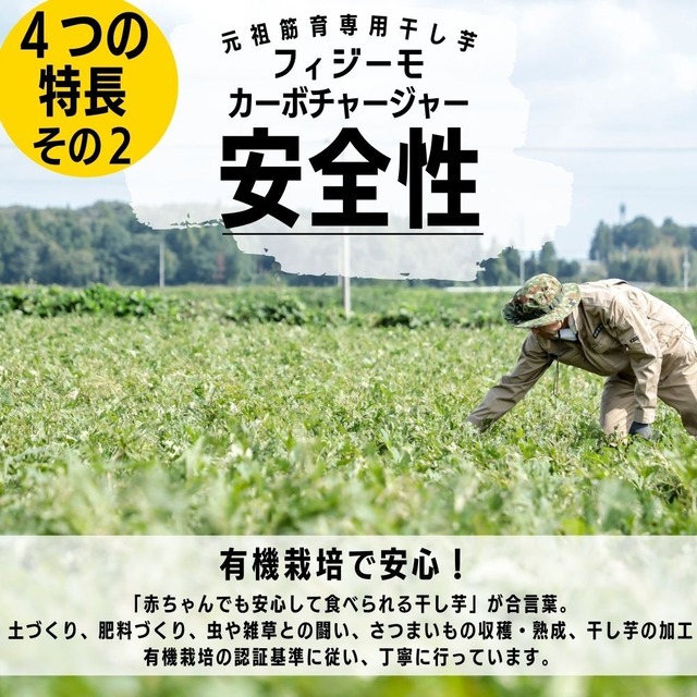 筋育フィジーモshikkoku No Hagane 900g 元祖筋育専用干し芋physiimoフィジーモ 筋育フィジーモshikkoku No Hagane 900g 元祖筋育専用干し芋physiimoフィジーモ