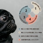 maskota 無添加 手作り 国産 鶏砂肝薄切り ジャーキー ペットおやつ 150g
