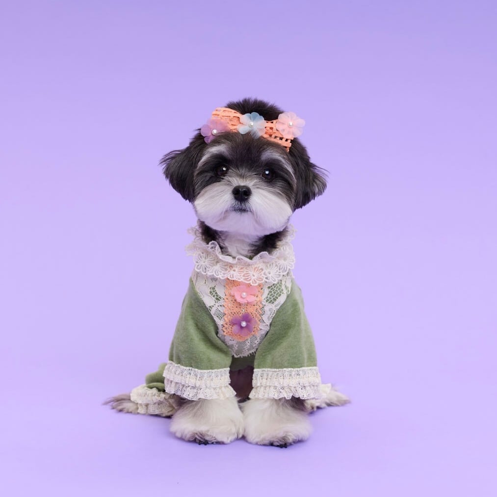 犬服ハンドメイド♡マーブル☆ marble