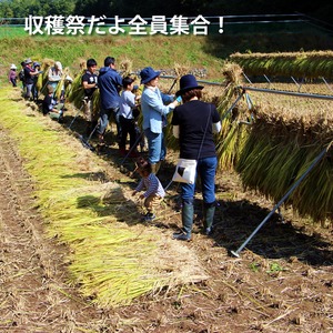 収穫祭だよ全員集合！