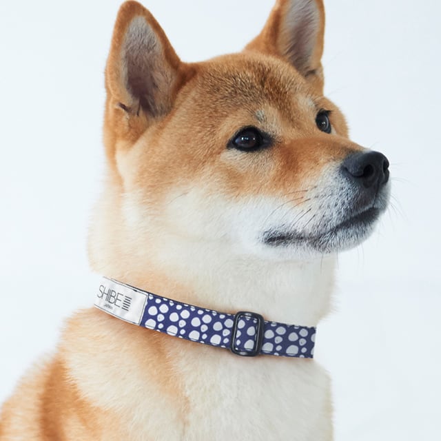COLLAR PAW DOT【NAVY】犬用首輪 | SHIBE JAPAN（シベ
