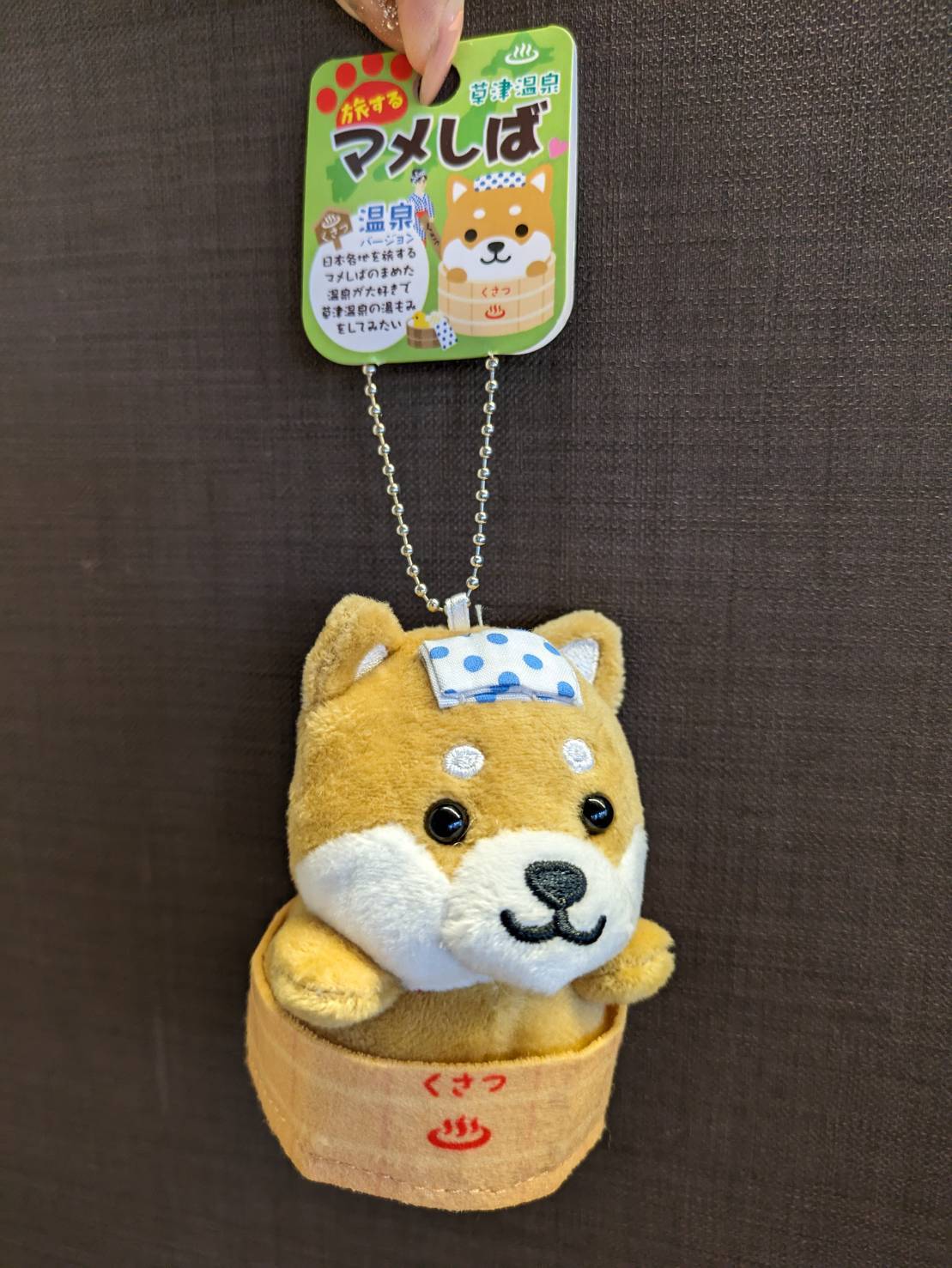 旅するマメしば　7個③ 旅するマメしば 7個③