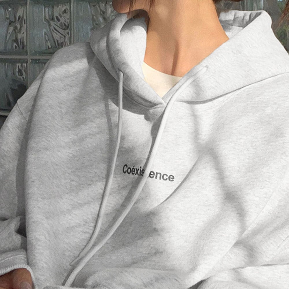 スウェット パーカー レディース 秋冬 韓国 裏起毛 トップス