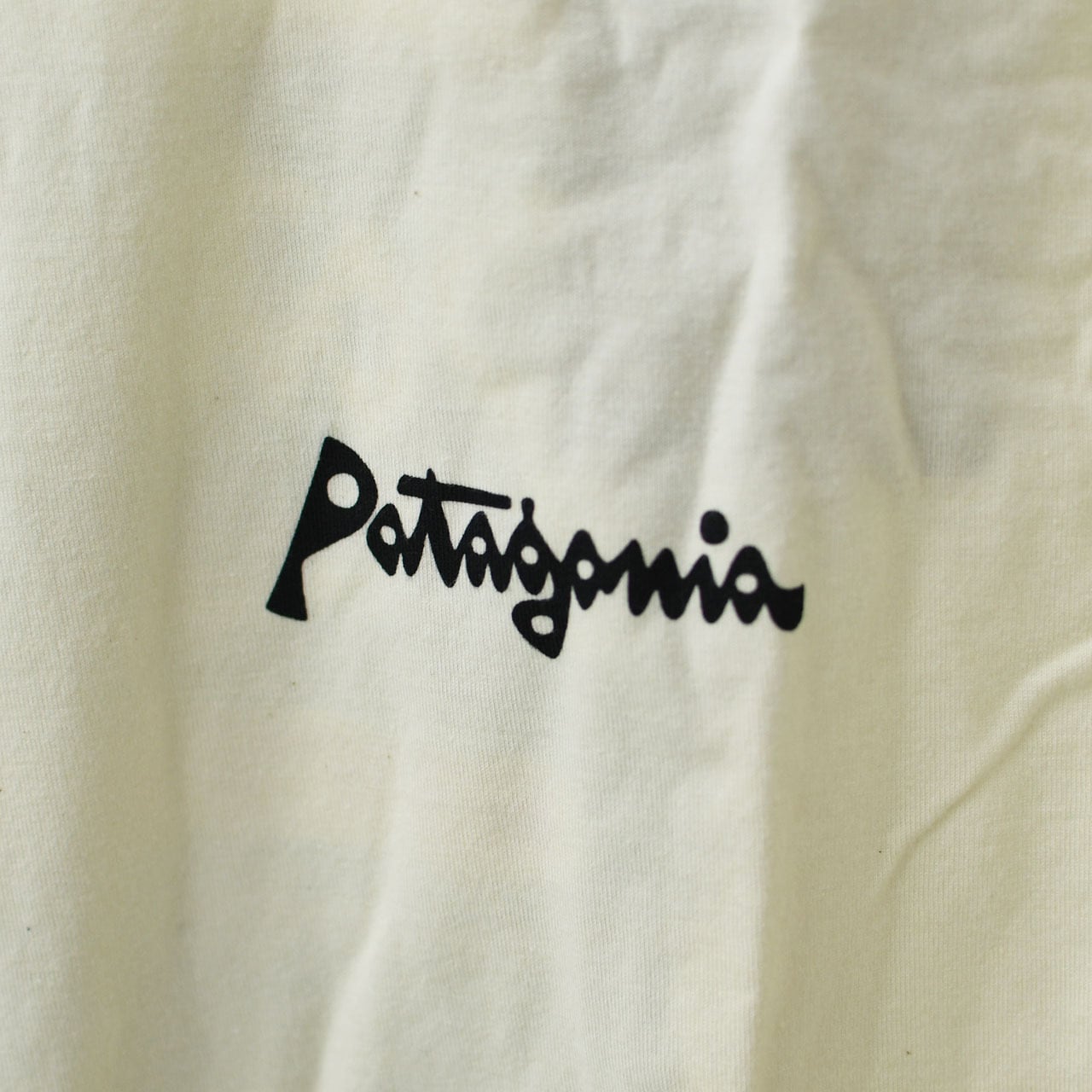 Patagonia [パタゴニア正規代理店] M's Aquatic Action Organic T