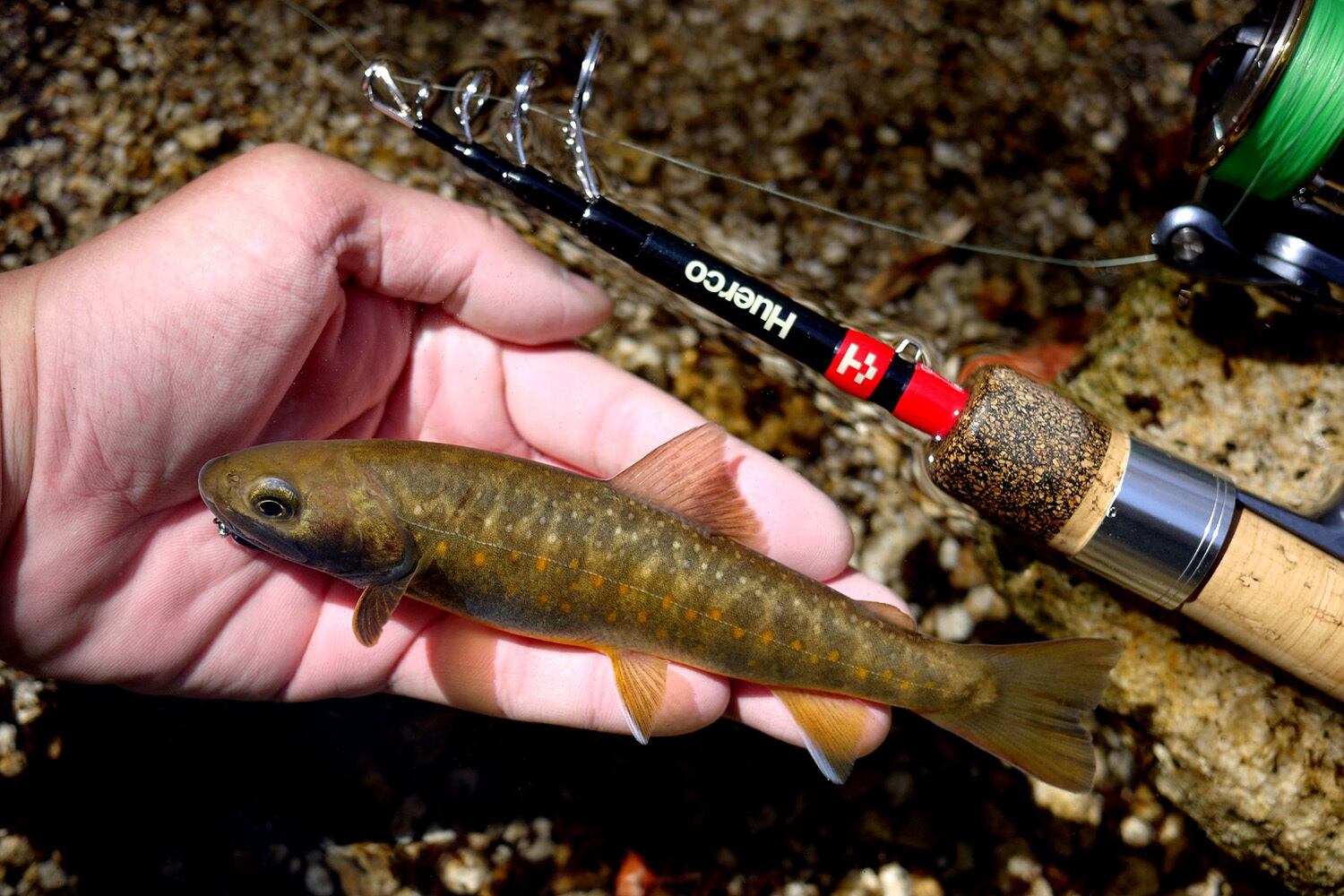 AbuGarcia (アブガルシア) トラウトフィールド TROUTFIELD TFS-462UL