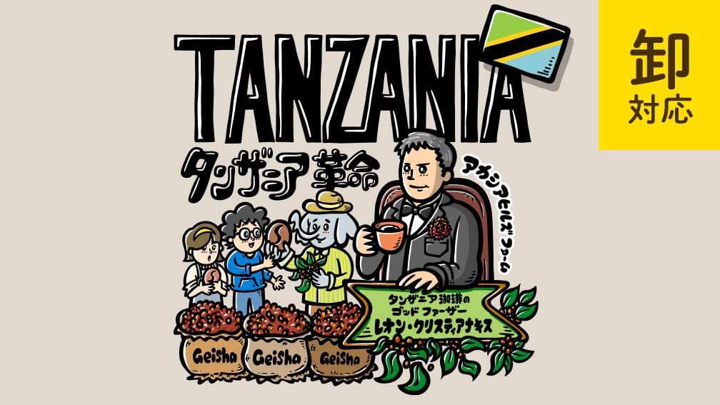 <期間限定・卸販売>タンザニア アカシアヒルズ ゲイシャ(焼き豆500g)