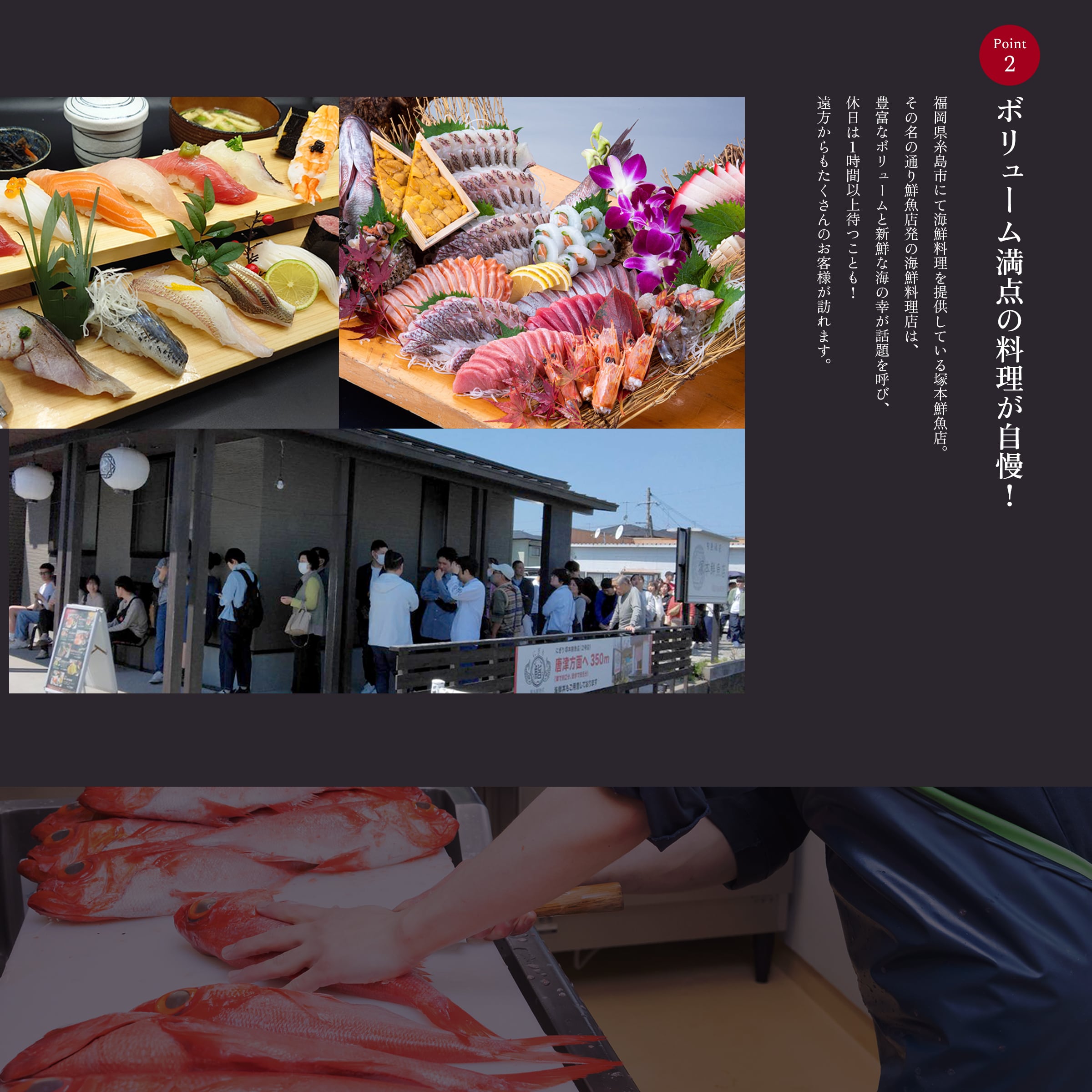 海鮮丼 レギュラーサイズ 3パック セット 1個90g×3パック 3人前 海鮮
