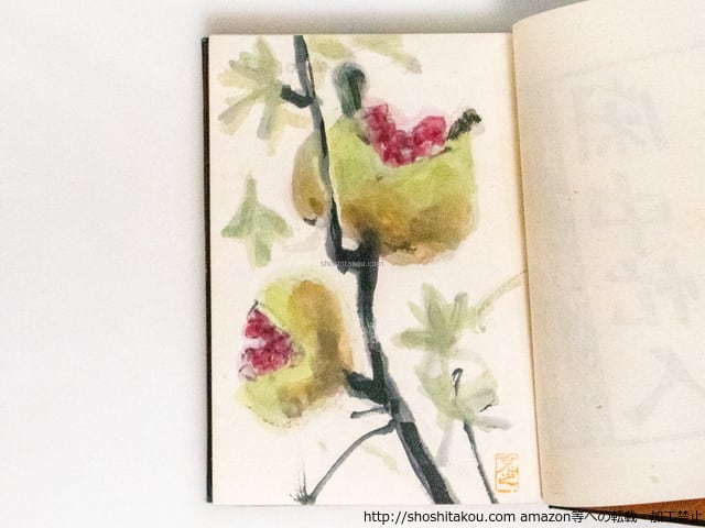 斎藤史全歌集 特製50部 毛筆歌署名入 / 斎藤史 (齋藤史) [37373 斎藤史全歌集 特製50部 毛筆歌署名入 / 斎藤史 (齋藤史) [37373