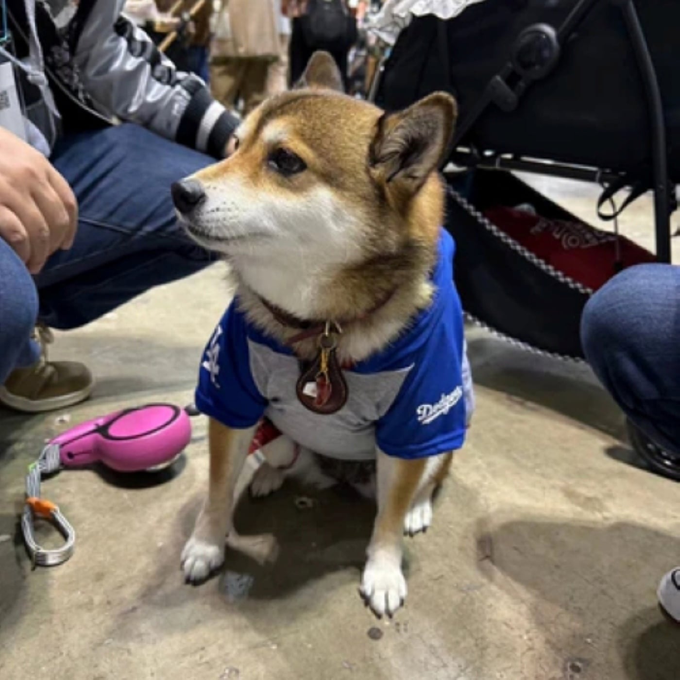 犬用パーカー Lサイズ 大谷翔平モデル MLB公式 ドジャース 超小型犬用