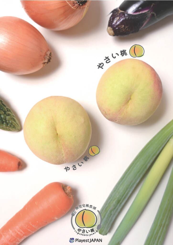 FARMセレクト 予約注文 2箱セット｜☆白鳳系☆ 山梨県産 桃 5kg箱×2