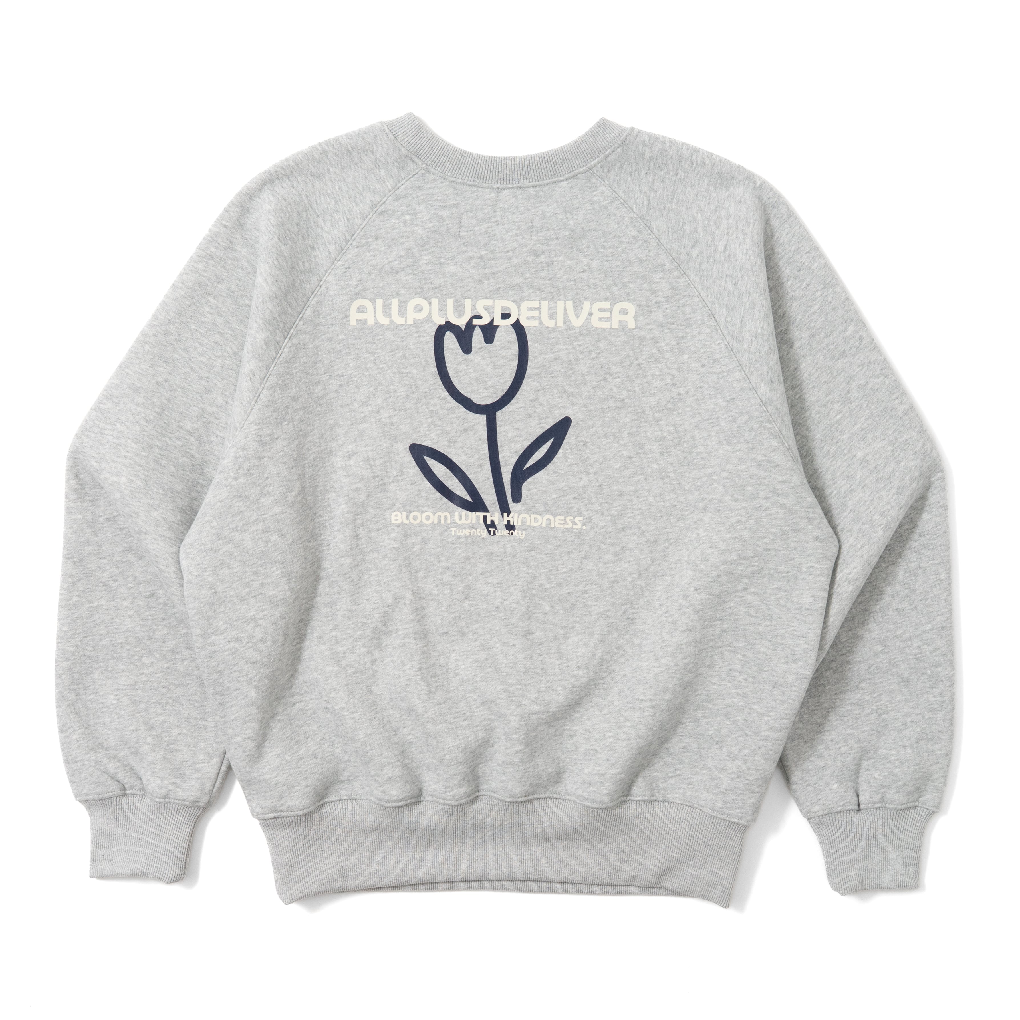 ALPSDR TULIP RAGLAN SWEAT / GRAY