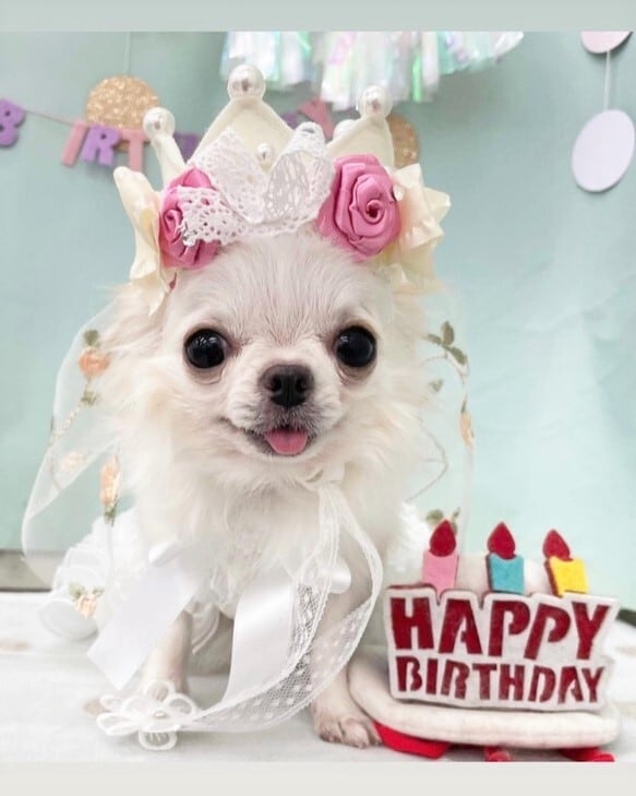 オーダーページ③みっちゃんさん専用ページ