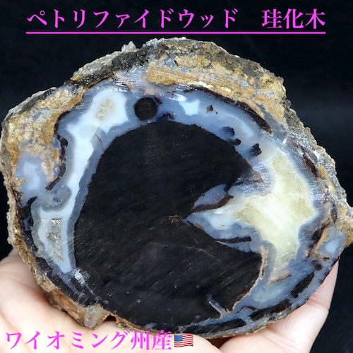 ※SALE※ ワイオミング州産ブルーフォレスト 珪化木 ペトリファイドウッド 145,8g PFW012　 鉱物 標本 原石 天然石 パワーストーン