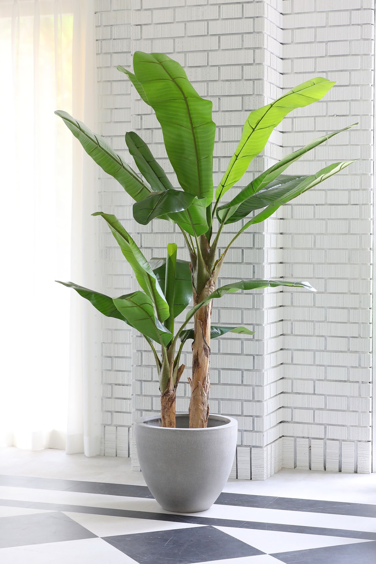 フェイクグリーン 大型 H200cm バナナツリー 人工観葉植物 天然木と 