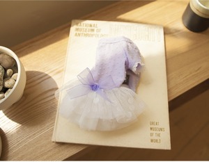 予約【coco chien】レアワンピース