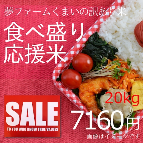 【送料無料】 夢ファームくまいの安くて美味しいお米 20キロ（ｋｇ）  新潟産 新米 精白米 農家直送 訳あり米 小粒 中米【数量限定】