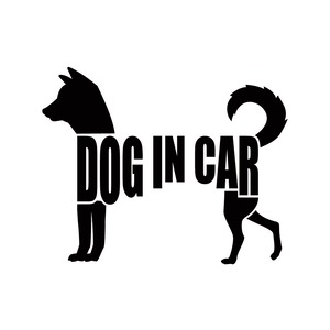 DOG IN CAR