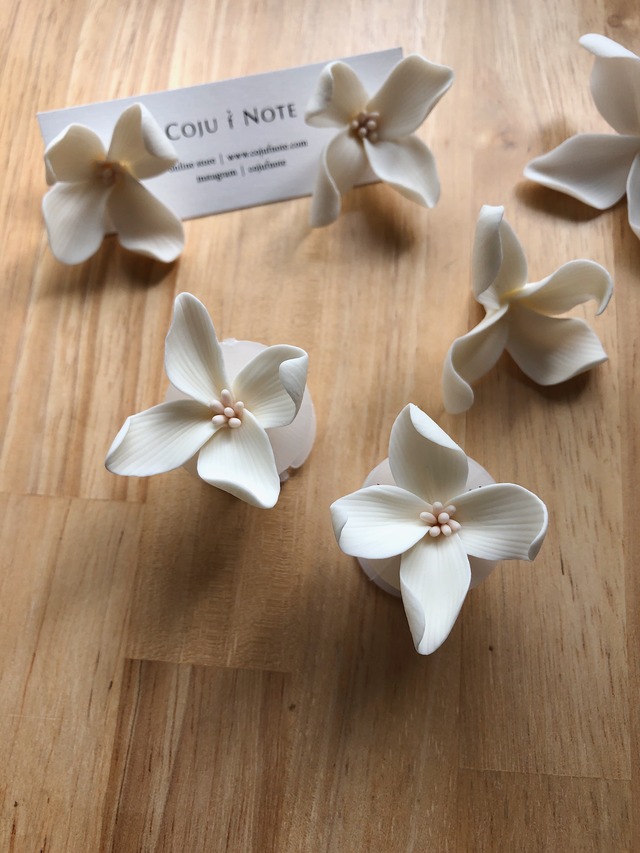 Gardenia Studs